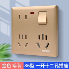 CLIPMEI12孔多功能一开八孔开关带灯墙壁插座家用多孔插空调热水器大功率 （暗装）金色一开12孔