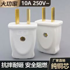 南戒【优质】单相二脚插头家用二扁二插10a插头加厚铜2脚大功率插头 白色【固定】二脚插头 1个装