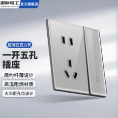 国际电工开关插座86型暗装亚克力面板超薄有机玻璃一开五孔插座五孔带网络 【水晶玻璃星空灰】一开五孔插座