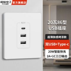 国际电工USB插座面板快充20W带type-c插座面板开关带USB接口手机充电插座 【20W快充】烤漆款-白色