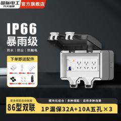 国际电工漏保插座防水盒断路器配电箱户外充电桩防雨漏电保护电源空开 双联-1P漏保32A+10A五孔×3