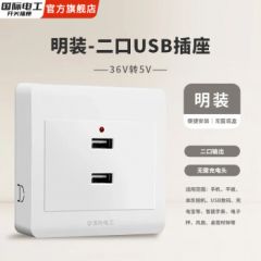 国际电工USB插座Type-C面板86型暗装手机充电墙壁快充苹果多功能智能多口 明装-二口USB插座【36V转5V】